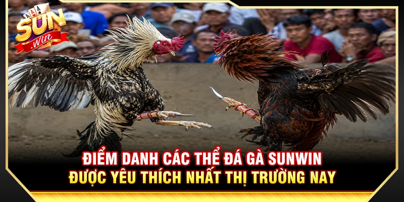 Điểm Danh Các Thể Đá Gà Phổ Biến Nhất Thị Trường 1 Điểm Danh Các Thể Đá Gà Phổ Biến Nhất Thị Trường